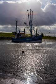 Dorum