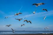 Cuxhaven