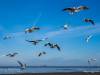 Cuxhaven