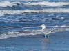 Am Weststrand