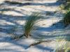 Am Weststrand