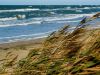 Am Weststrand