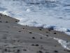Am Weststrand