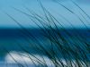 Die Ostsee bei Ahrenshoop
