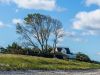 Der Strand bei Ahrenshoop