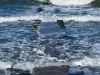 Der Strand bei Ahrenshoop