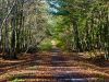 Der Weg hinter dem Prower Strom