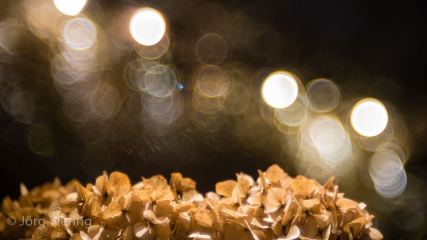 Seifenblasenbokeh