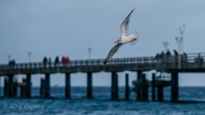 Binz Seebrücke