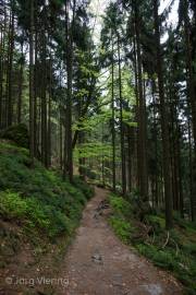 Rückweg zum Beuthenfall