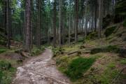 Rückweg zum Beuthenfall