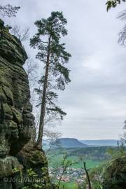 Aufstieg zum Pfaffenstein