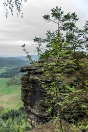 Auf dem Pfaffenstein