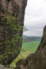 Blick vom Pfaffenstein