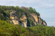 Blick von unserer Terasse in Wehlen