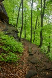 Auf dem Weg zur Bastei