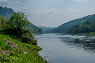 Die Elbe in Stadt Wehlen