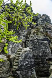 Auf der Bastei