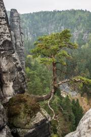 Auf der Bastei