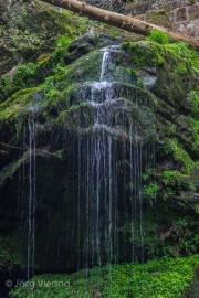 Amselfall