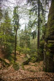 Zurück nach Wehlen