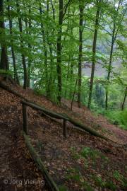 Zurück nach Wehlen
