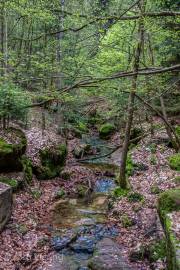 Weg zum Kuhstall