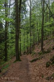 Weg zum Kuhstall