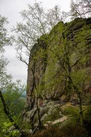 Am Schneiderloch