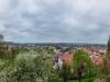 Pirna