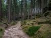 Rückweg zum Beuthenfall
