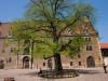 Meißen