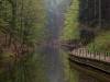 Auf dem Weg zum Amselfall