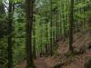Weg zum Kuhstall