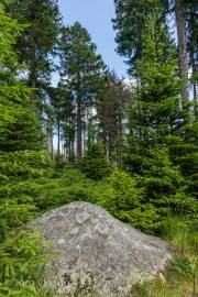 Abstieg vom Brocken