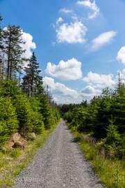 Abstieg vom Brocken