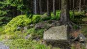 Abstieg vom Brocken