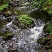 Bodetal