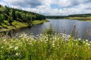 Am Mandelholzstausee