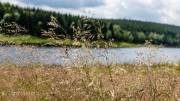 Am Mandelholzstausee