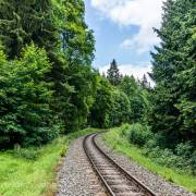 392_Elend_Brocken_Juli2014