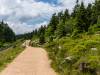 Abstieg vom Brocken