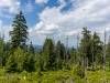 Abstieg vom Brocken