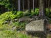 Abstieg vom Brocken