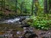 Bodetal