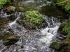 Bodetal