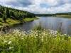 Am Mandelholzstausee