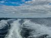 132_2012_sep_flensburg_20120901