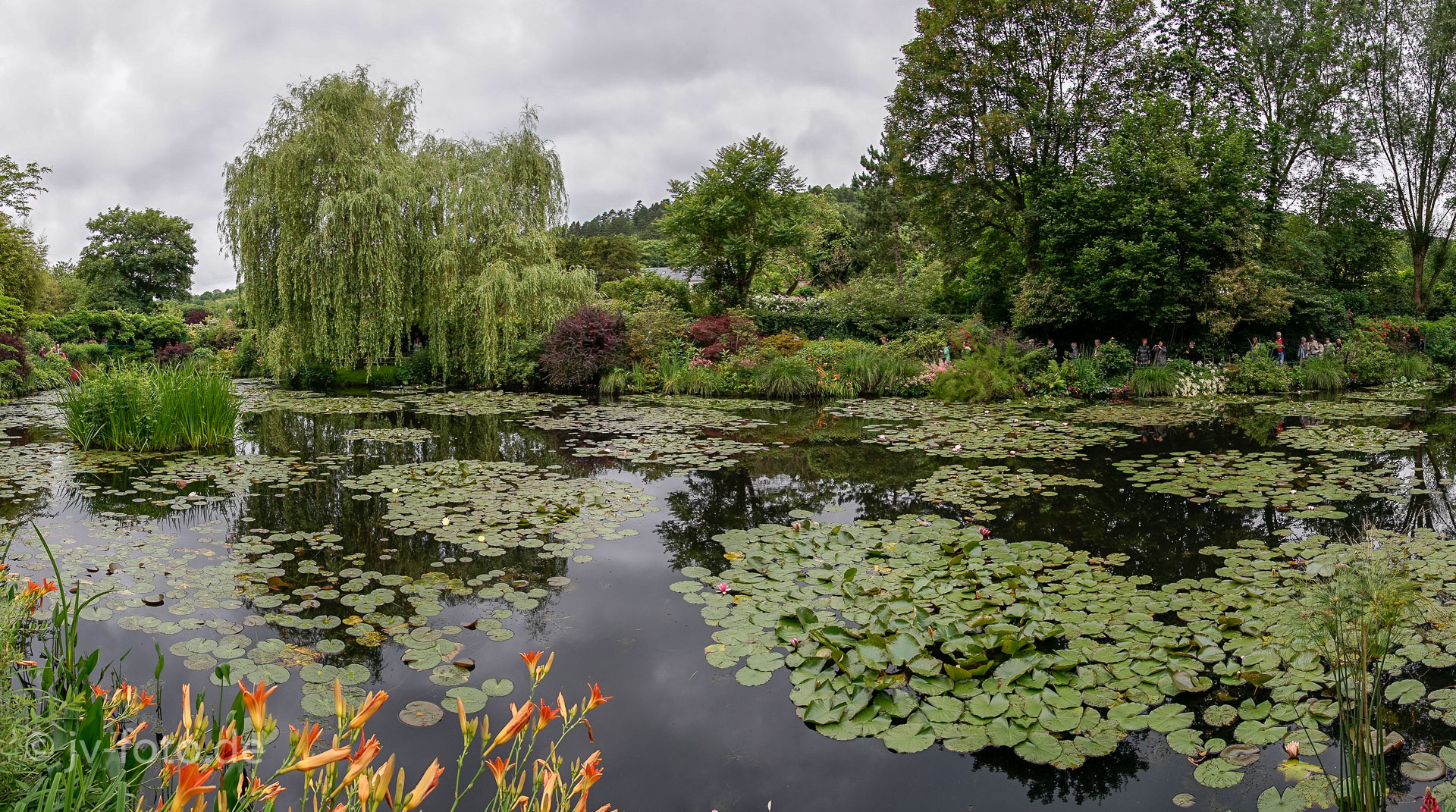 Seerosenteich von Monet in Giverny