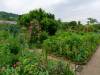 Die Gärten von Monet in Giverny